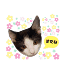 ソラモネ（個別スタンプ：10）