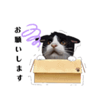 ソラモネ（個別スタンプ：11）