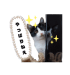 ソラモネ（個別スタンプ：20）
