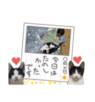ソラモネ（個別スタンプ：31）