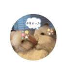 アイちゃん登場（個別スタンプ：2）