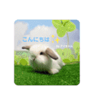 アイちゃん登場（個別スタンプ：3）
