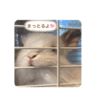 アイちゃん登場（個別スタンプ：5）