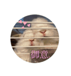 アイちゃん登場（個別スタンプ：8）