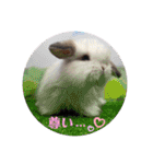 アイちゃん登場（個別スタンプ：9）