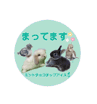 アイちゃん登場（個別スタンプ：10）