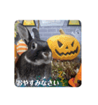 アイちゃん登場（個別スタンプ：23）