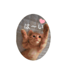 アイちゃん登場（個別スタンプ：39）