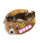 結ちゃんスタンプ。（個別スタンプ：1）