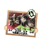 結ちゃんスタンプ。（個別スタンプ：6）