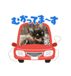 結ちゃんスタンプ。（個別スタンプ：8）