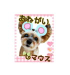 ミックス犬ゆるっとダジャレのスタンプ（個別スタンプ：10）