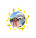 愛犬ぷぅ君の日常3（個別スタンプ：9）