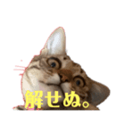紅さんスタンプ（個別スタンプ：3）