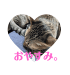 紅さんスタンプ（個別スタンプ：4）