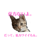 紅さんスタンプ（個別スタンプ：8）