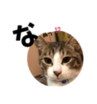 みな大好きねこちゃん（個別スタンプ：15）