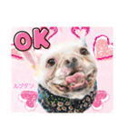 Smilewanの仲間達③（個別スタンプ：1）