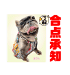 Smilewanの仲間達③（個別スタンプ：2）