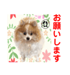 Smilewanの仲間達③（個別スタンプ：3）
