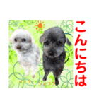 Smilewanの仲間達③（個別スタンプ：5）