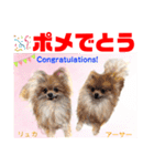 Smilewanの仲間達③（個別スタンプ：6）