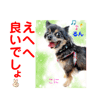 Smilewanの仲間達③（個別スタンプ：7）