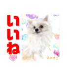 Smilewanの仲間達③（個別スタンプ：8）