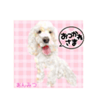 Smilewanの仲間達③（個別スタンプ：10）