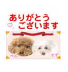 Smilewanの仲間達③（個別スタンプ：13）