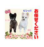 Smilewanの仲間達③（個別スタンプ：16）