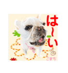 Smilewanの仲間達③（個別スタンプ：18）