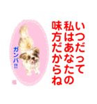 Smilewanの仲間達③（個別スタンプ：23）