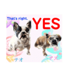 Smilewanの仲間達③（個別スタンプ：24）