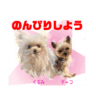 Smilewanの仲間達③（個別スタンプ：27）