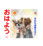 Smilewanの仲間達③（個別スタンプ：28）