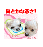 Smilewanの仲間達③（個別スタンプ：29）