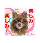 Smilewanの仲間達③（個別スタンプ：32）