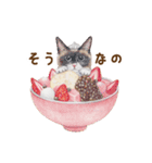 ほっこり猫と食べ物5（個別スタンプ：20）