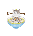 ほっこり猫と食べ物5（個別スタンプ：31）