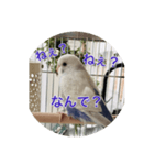 可愛い鳥さんです。ただそれだけ（個別スタンプ：9）