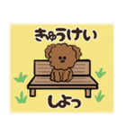 かわいい犬（トイプードル）が話します_3（個別スタンプ：5）