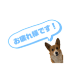 どろんコーギーこむぎ2（個別スタンプ：6）