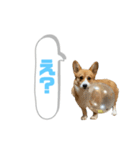 どろんコーギーこむぎ2（個別スタンプ：8）