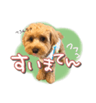 つかちゃんと将太朗（個別スタンプ：6）