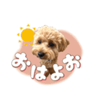 つかちゃんと将太朗（個別スタンプ：7）