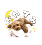つかちゃんと将太朗（個別スタンプ：8）