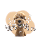 つかちゃんと将太朗（個別スタンプ：11）