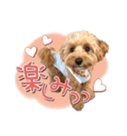 つかちゃんと将太朗（個別スタンプ：12）