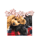 つかちゃんと将太朗（個別スタンプ：14）